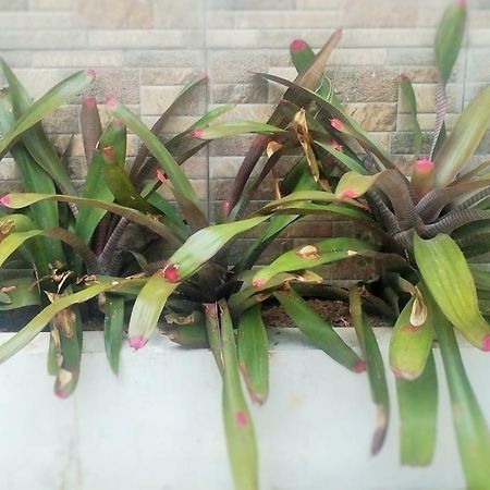 Homestay Bumi Asri III Cikutra Bandung Zewnętrze zdjęcie